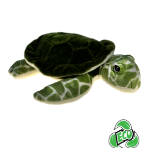 Tortuga Turtle